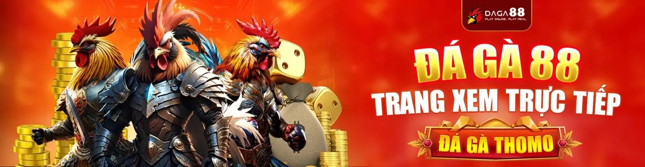 Đá gà trực tuyến kịch tính tại Việt Nam