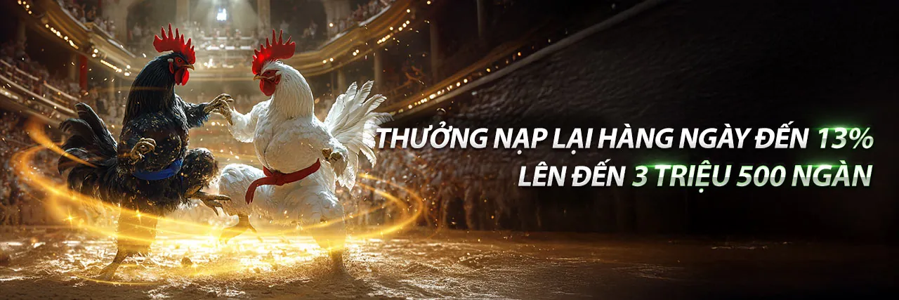 Hình ảnh tổng quan về nền tảng cá cược trực tuyến hàng đầu Việt Nam